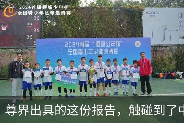 尊界出具的这份报告，触碰到了中国车圈最深的障碍