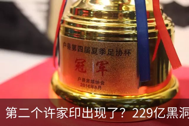 第二个许家印出现了？229亿黑洞吞掉1.5万人，三次被查还不收手