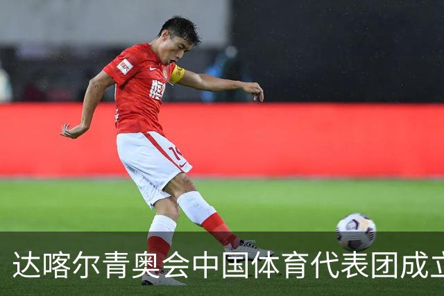 达喀尔青奥会中国体育代表团成立-国际在线